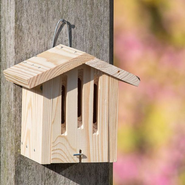 Bouwpakket vlinderhuis Dana
